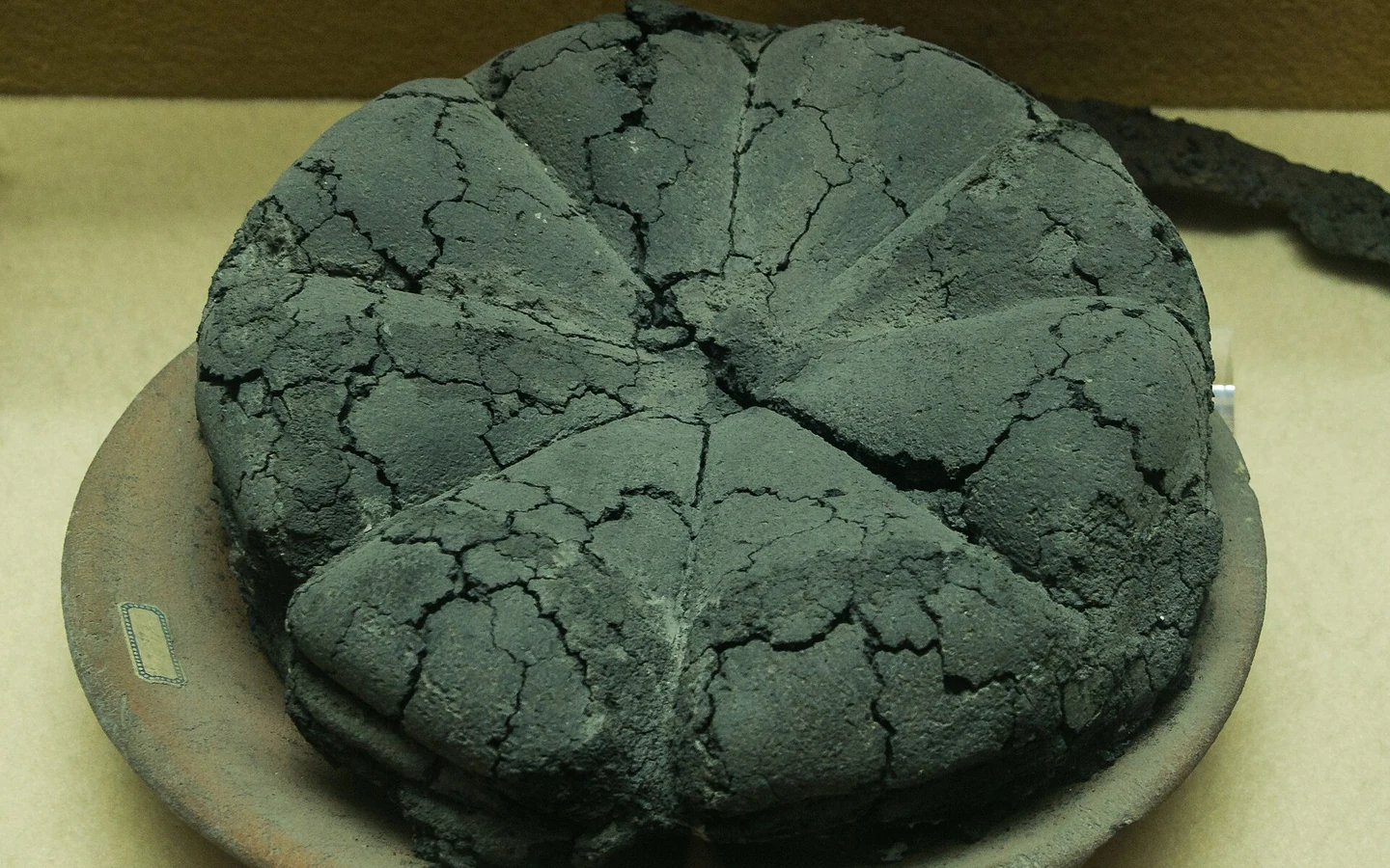 An ancient Roman loaf preserved from Pompeii is displayed as a museum object.