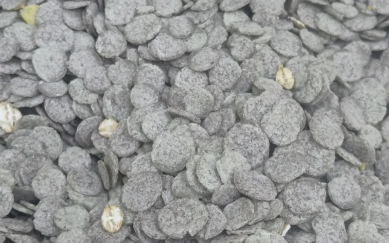 Close-up of buckwheat flakes.