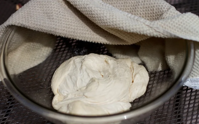 Bread dough rises in a bowl.