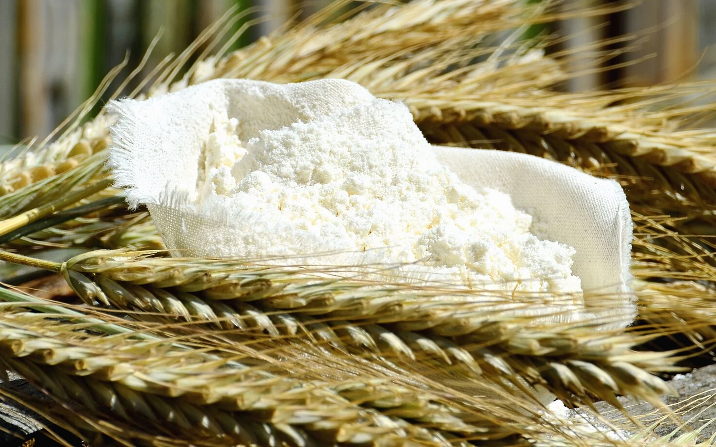 A pile of wheat flour photographed close up.