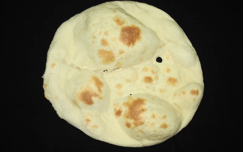 Naan flatbread with a browned, blistered surface.