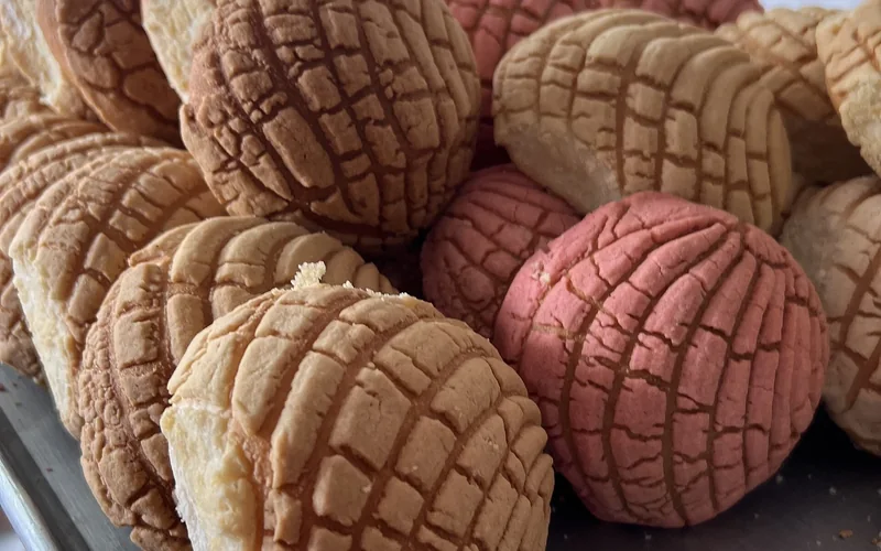 Concha sweet breads are arranged in a bakery display.