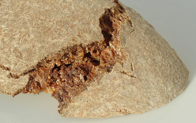 The cut end of a whole-grain rye loaf shows a compact crumb.