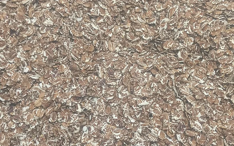 Close-up of pale rye flakes.